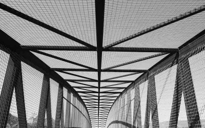 Estrenamos web y blog